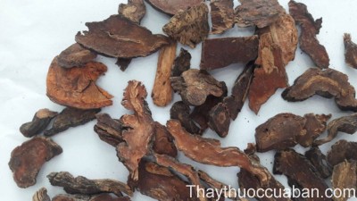 H&igrave;nh ảnh vị thuốc h&agrave; thủ &ocirc;